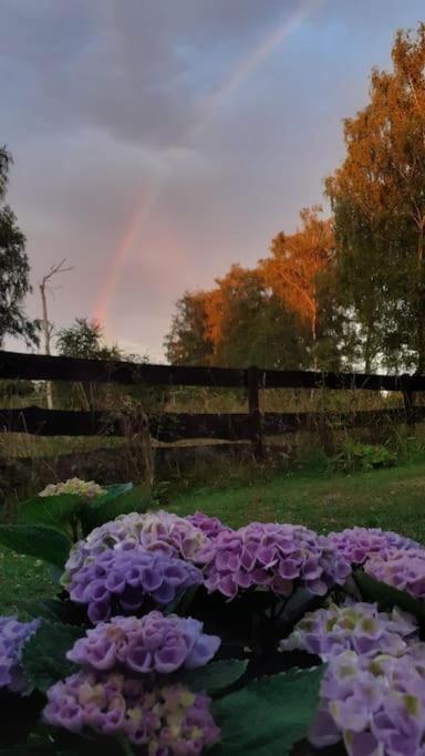 Poggenhagen Urlaub Mitten In Der Natur Neustadt am Rübenberge Dış mekan fotoğraf