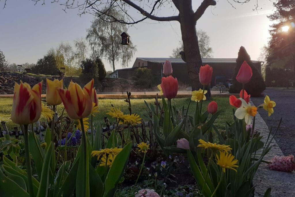 Poggenhagen Urlaub Mitten In Der Natur Neustadt am Rübenberge Dış mekan fotoğraf